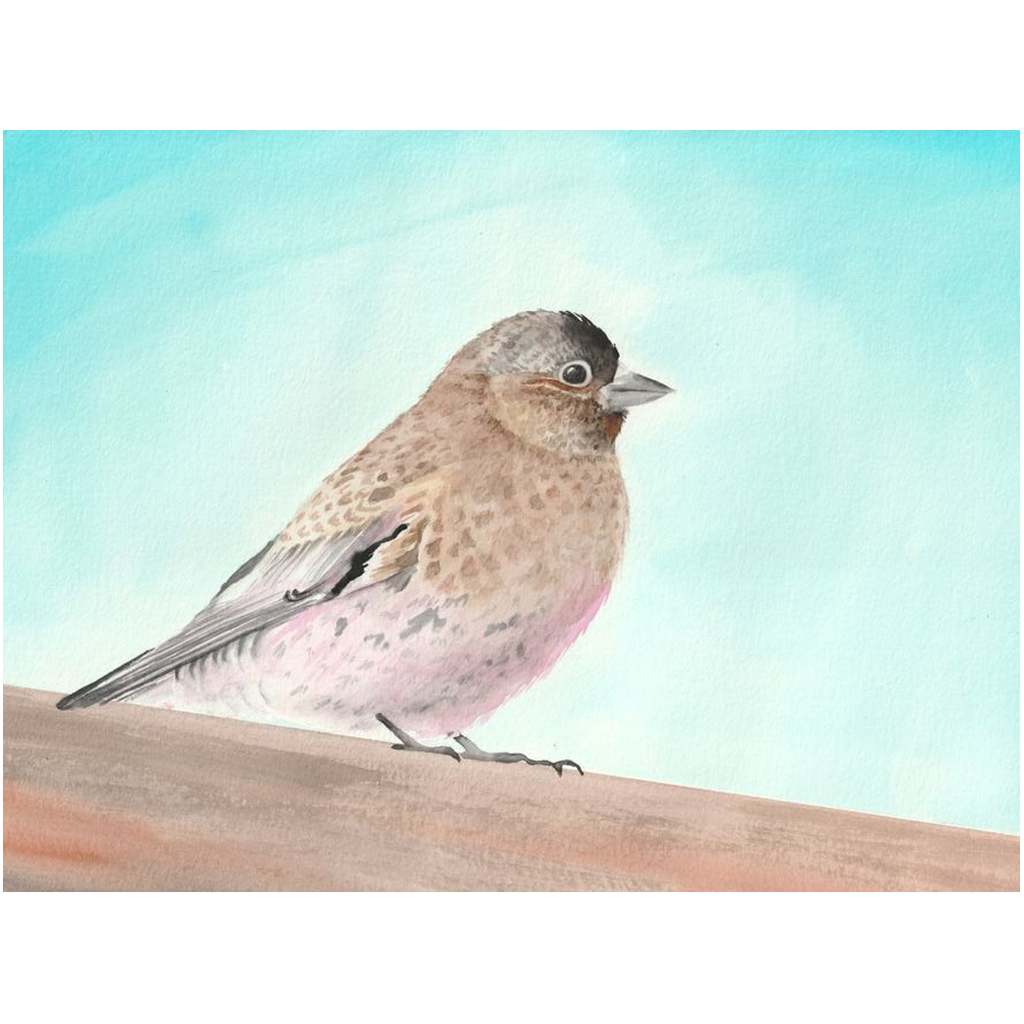 PreArtPrint-HahnemuhlePR-18x24-20250223175039927