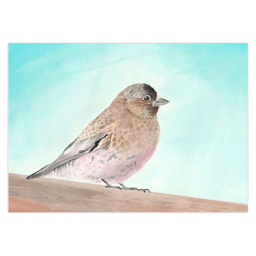 Rosy Finch Greeting Cards